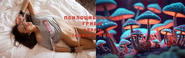 соль ск Новокубанск