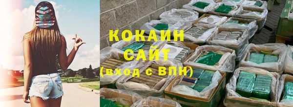 таблы Новозыбков
