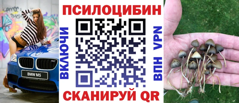 Псилоцибиновые грибы мицелий  Котово 